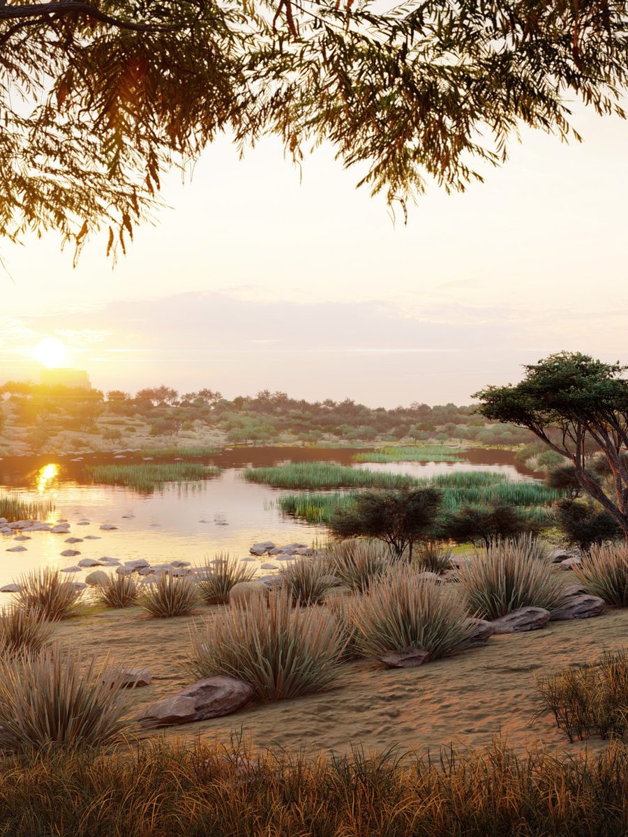 Forest and Lake at Expo City Dubai